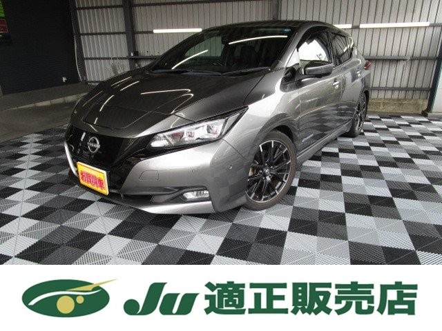 2018 Nissan Leaf