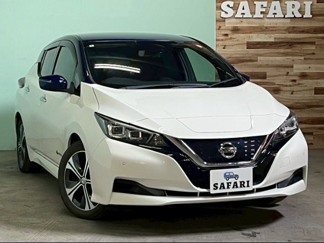 2018 Nissan Leaf