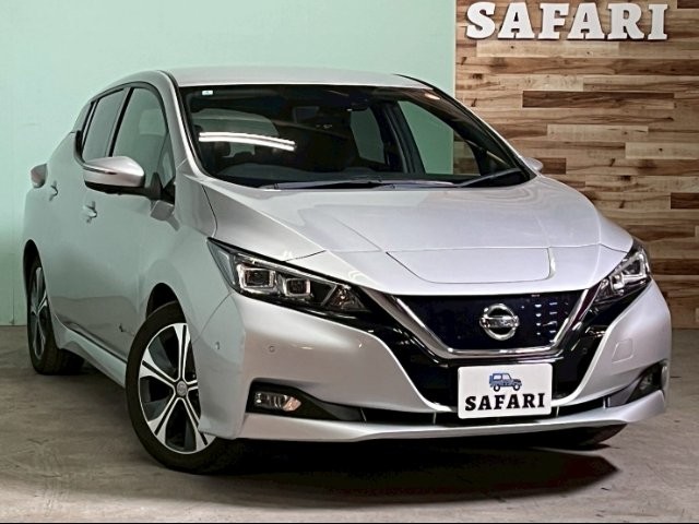 2017 Nissan Leaf