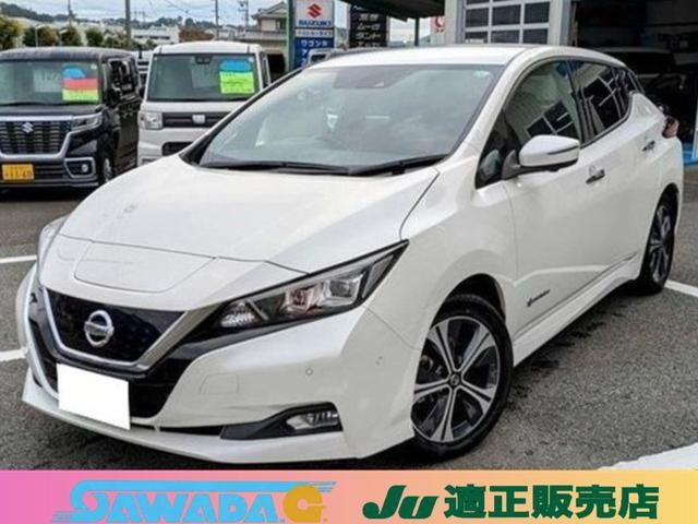 2019 Nissan Leaf