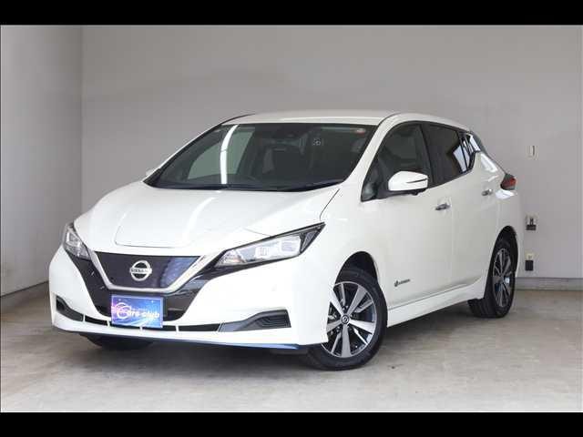 2019 Nissan Leaf