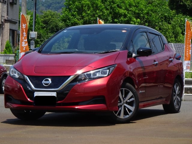 2019 Nissan Leaf