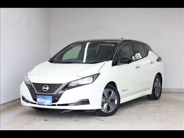 2021 Nissan Leaf