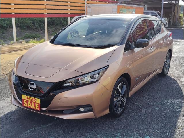 2021 Nissan Leaf