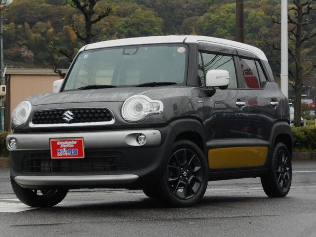 2019 Suzuki X BEE