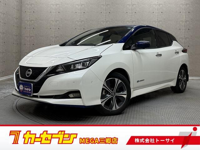 2021 Nissan Leaf
