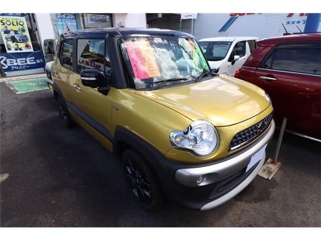 2017 Suzuki X BEE