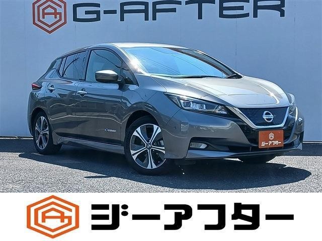 2020 Nissan Leaf