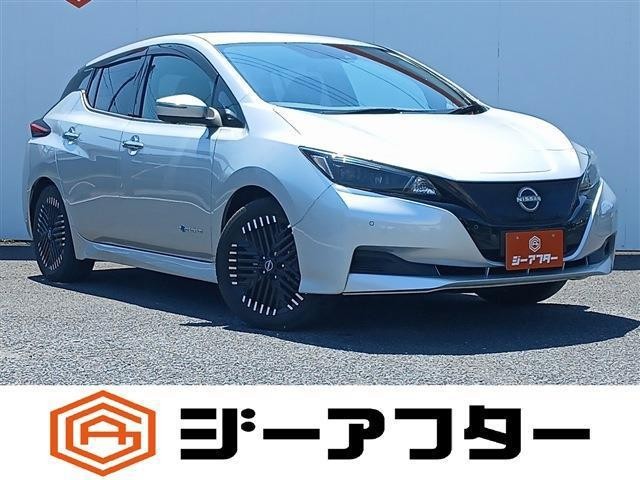 2022 Nissan Leaf
