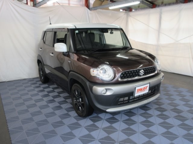 2018 Suzuki X BEE