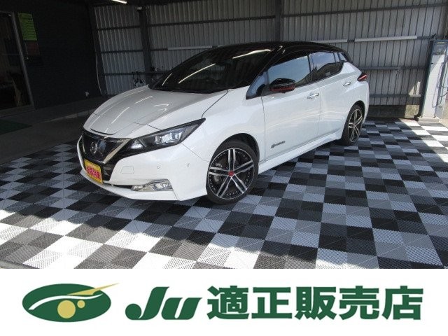 2018 Nissan Leaf