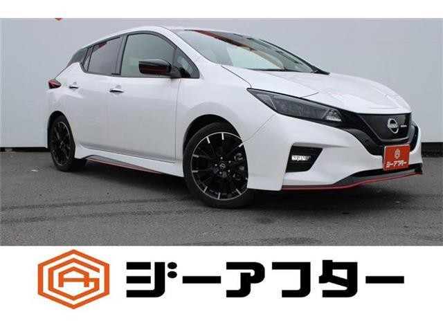 2022 Nissan Leaf