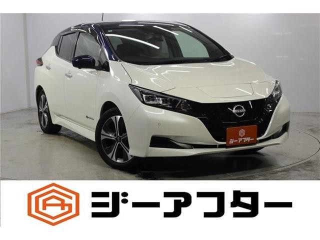 2022 Nissan Leaf