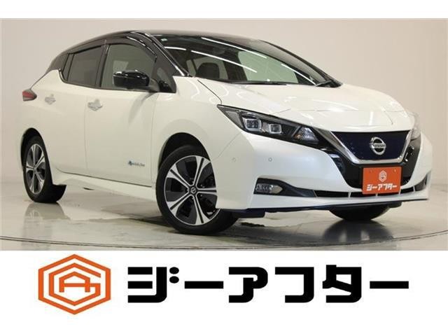 2019 Nissan Leaf
