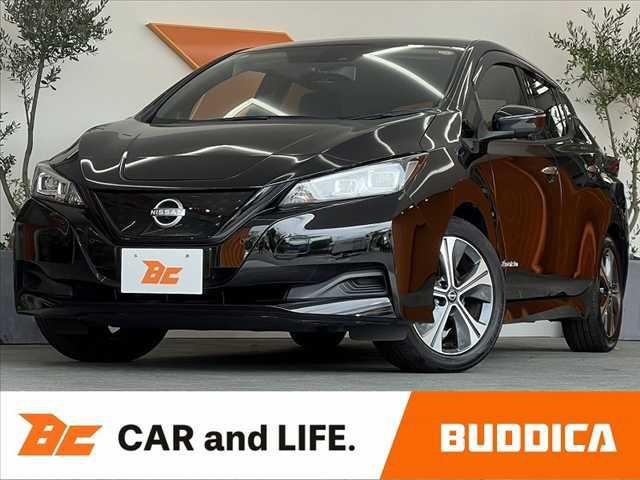 2021 Nissan Leaf