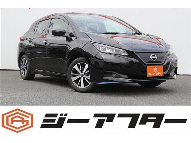 2021 Nissan Leaf
