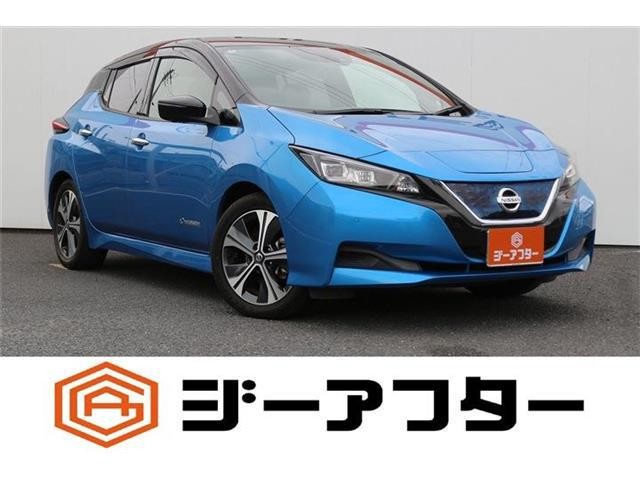 2020 Nissan Leaf