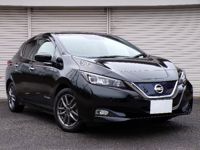 2020 Nissan Leaf