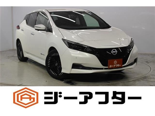 2022 Nissan Leaf