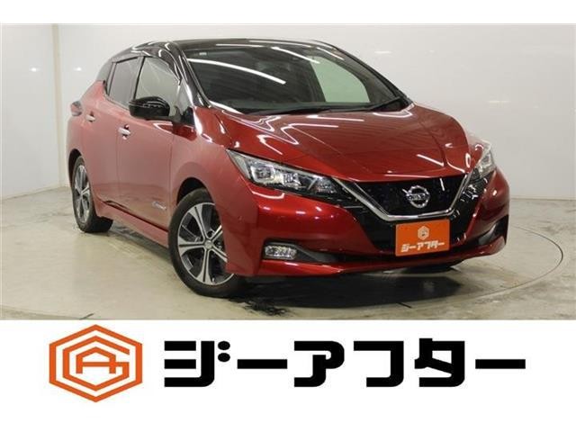 2017 Nissan Leaf