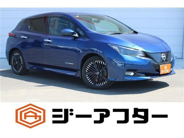 2022 Nissan Leaf