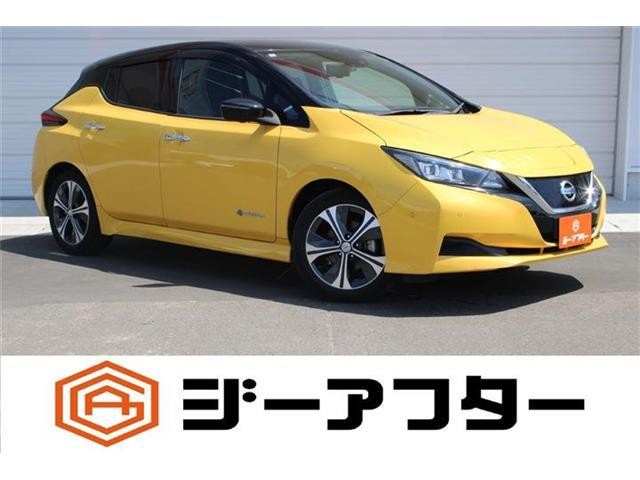 2018 Nissan Leaf