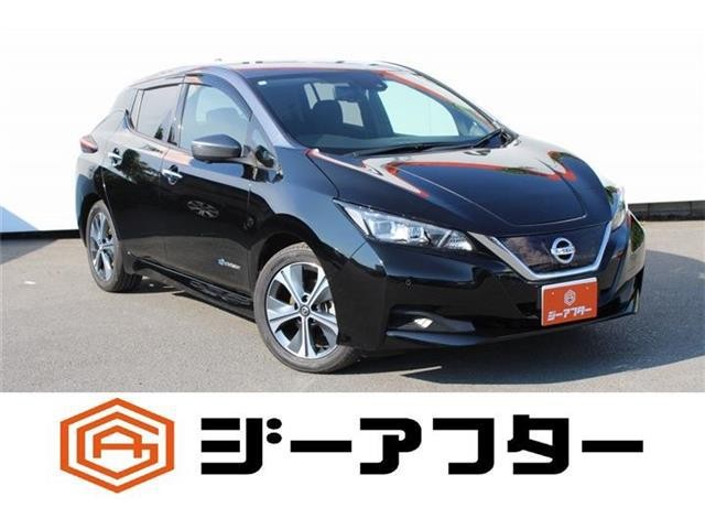 2020 Nissan Leaf