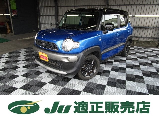 2018 Suzuki X BEE