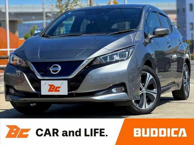 2017 Nissan Leaf