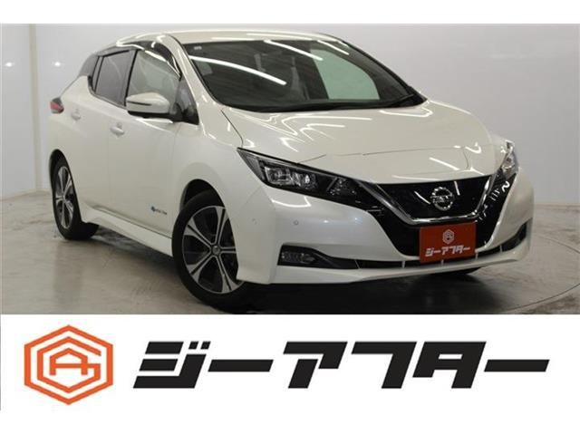 2017 Nissan Leaf