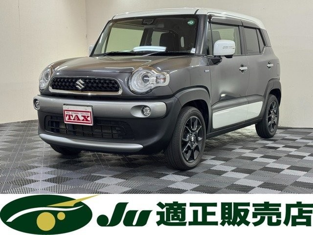 2019 Suzuki X BEE