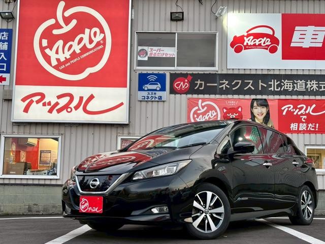 2018 Nissan Leaf