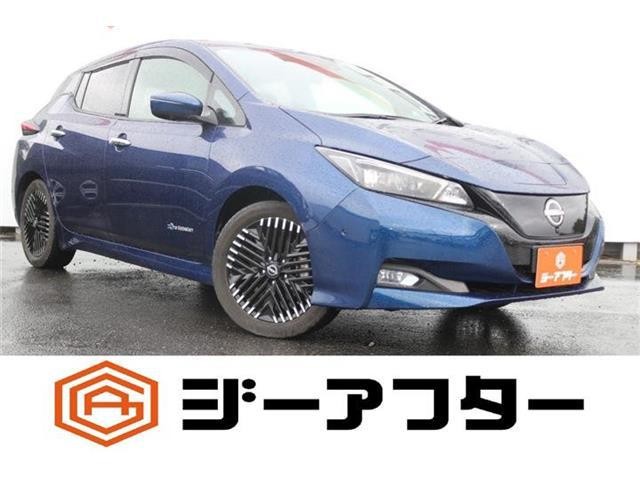 2023 Nissan Leaf