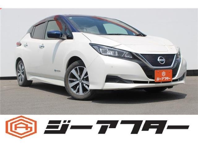 2020 Nissan Leaf