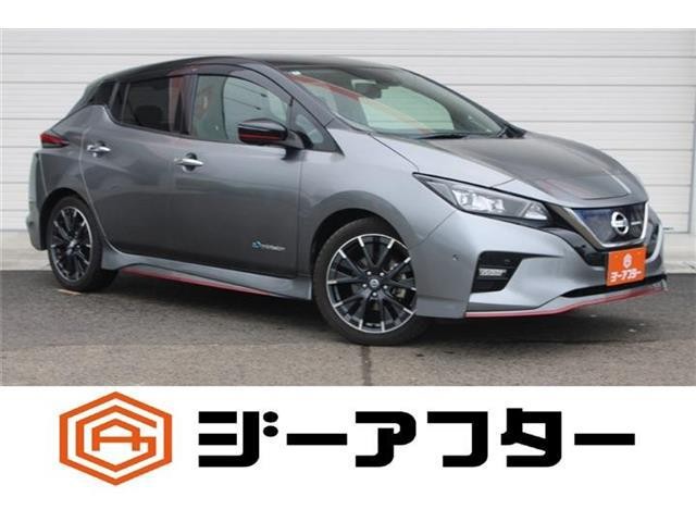 2018 Nissan Leaf