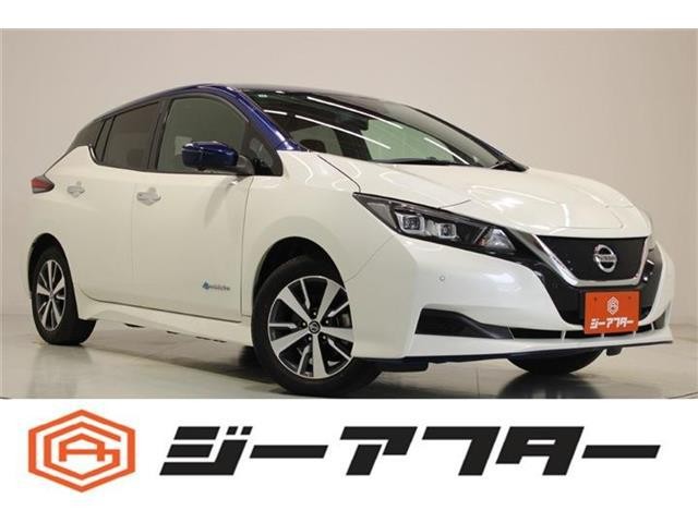 2020 Nissan Leaf