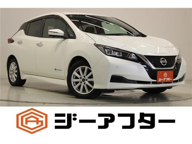 2020 Nissan Leaf