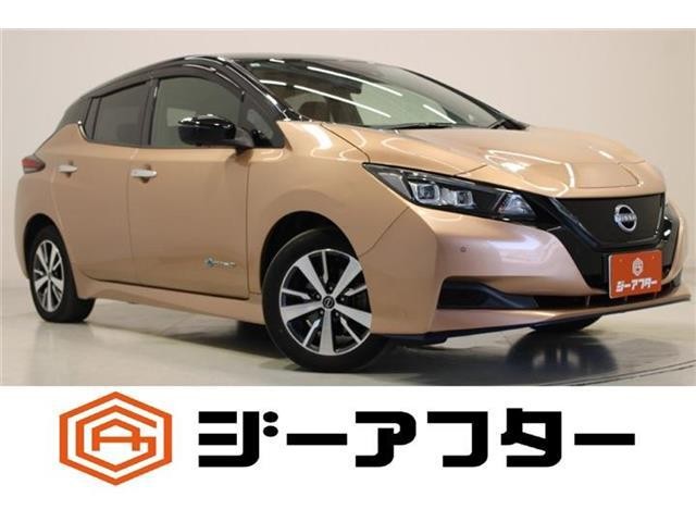 2021 Nissan Leaf