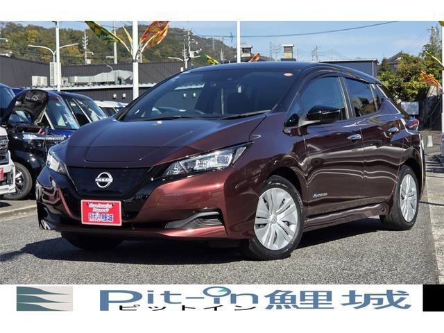 2021 Nissan Leaf