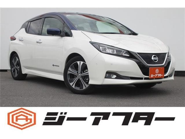 2018 Nissan Leaf