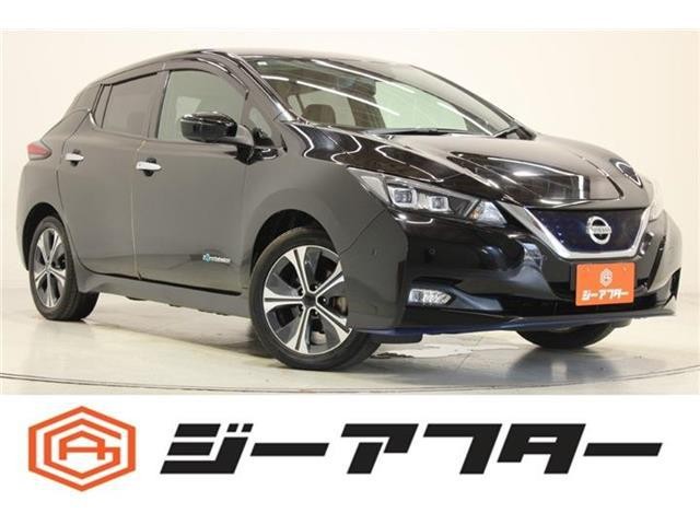2019 Nissan Leaf