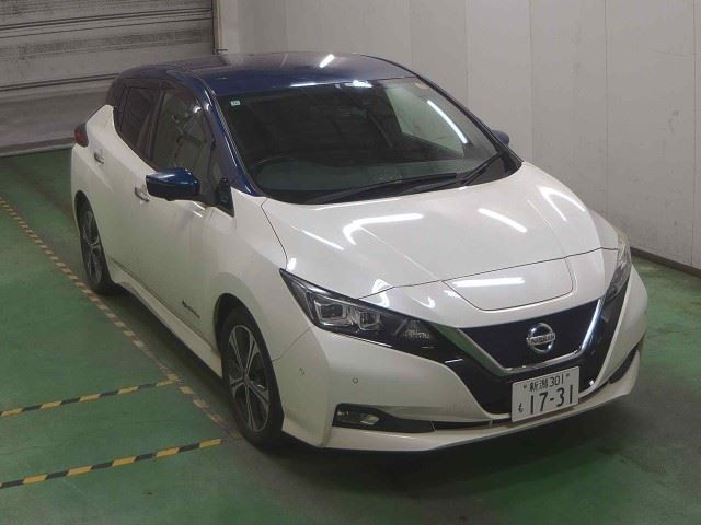 2018 Nissan Leaf
