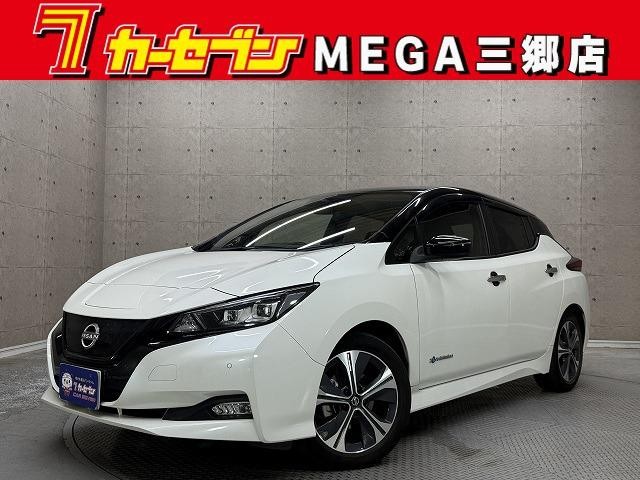 2022 Nissan Leaf