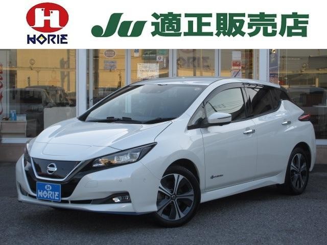 2019 Nissan Leaf
