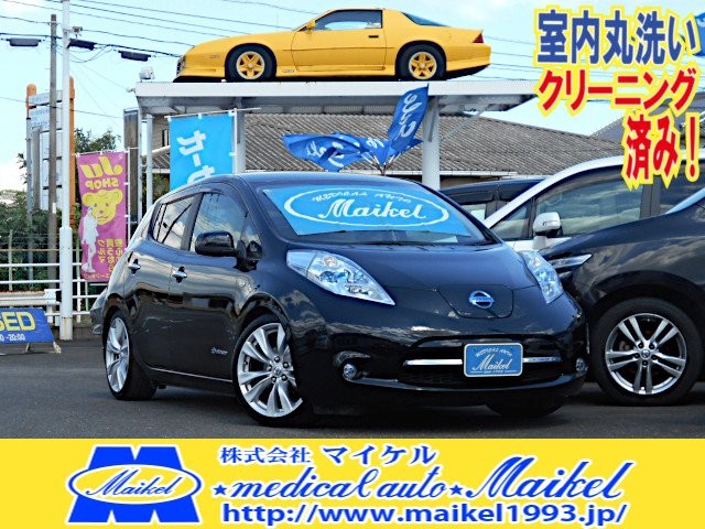 2011 Nissan Leaf