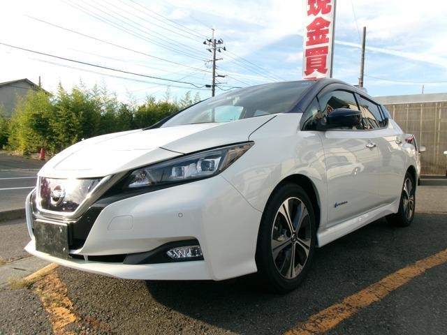 2021 Nissan Leaf