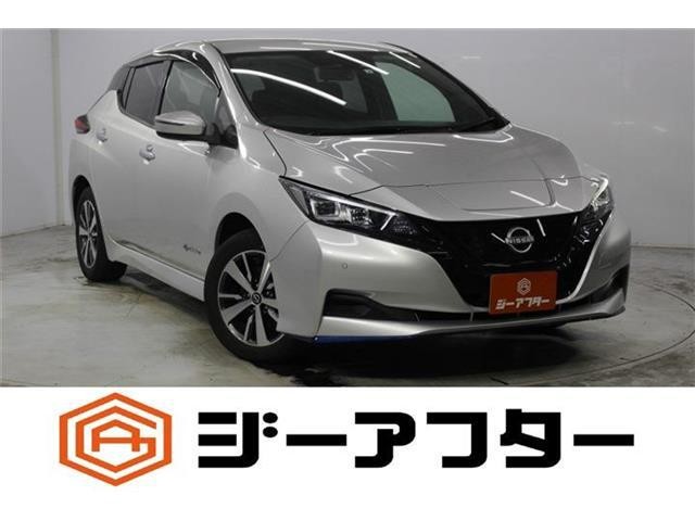 2021 Nissan Leaf