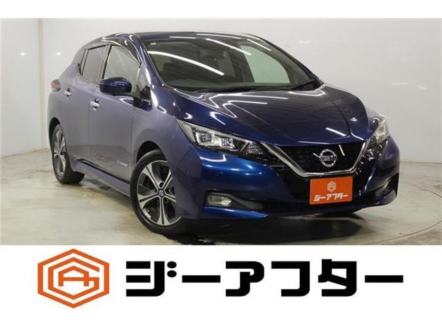 2020 Nissan Leaf