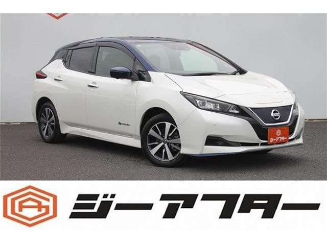 2021 Nissan Leaf