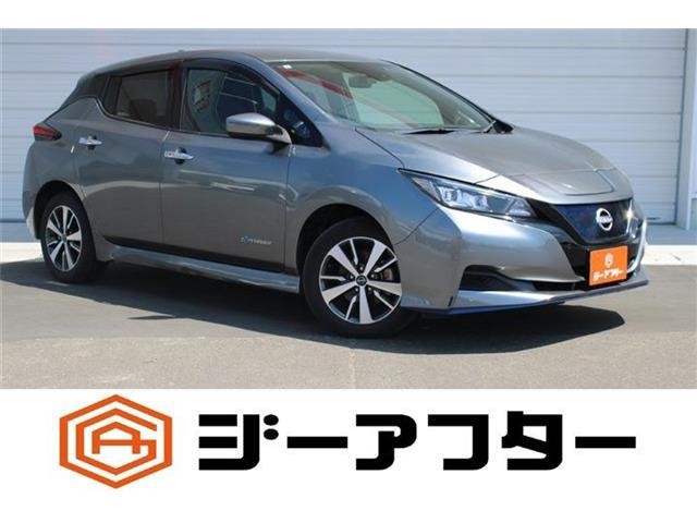 2021 Nissan Leaf